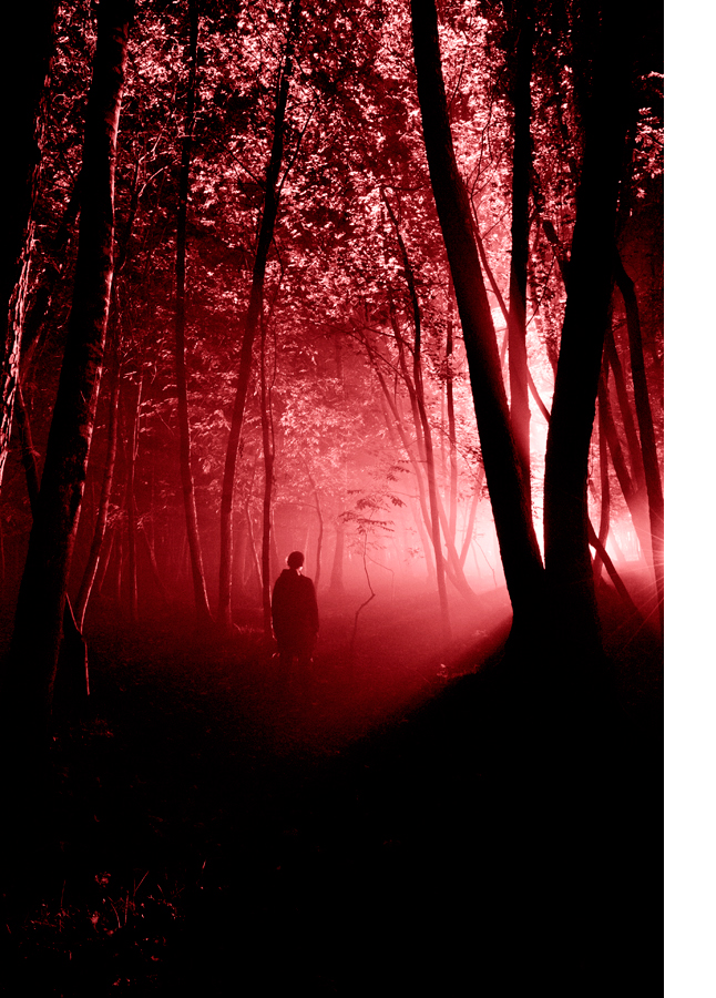 foret_rouge