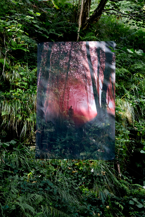 foret_rouge_installation