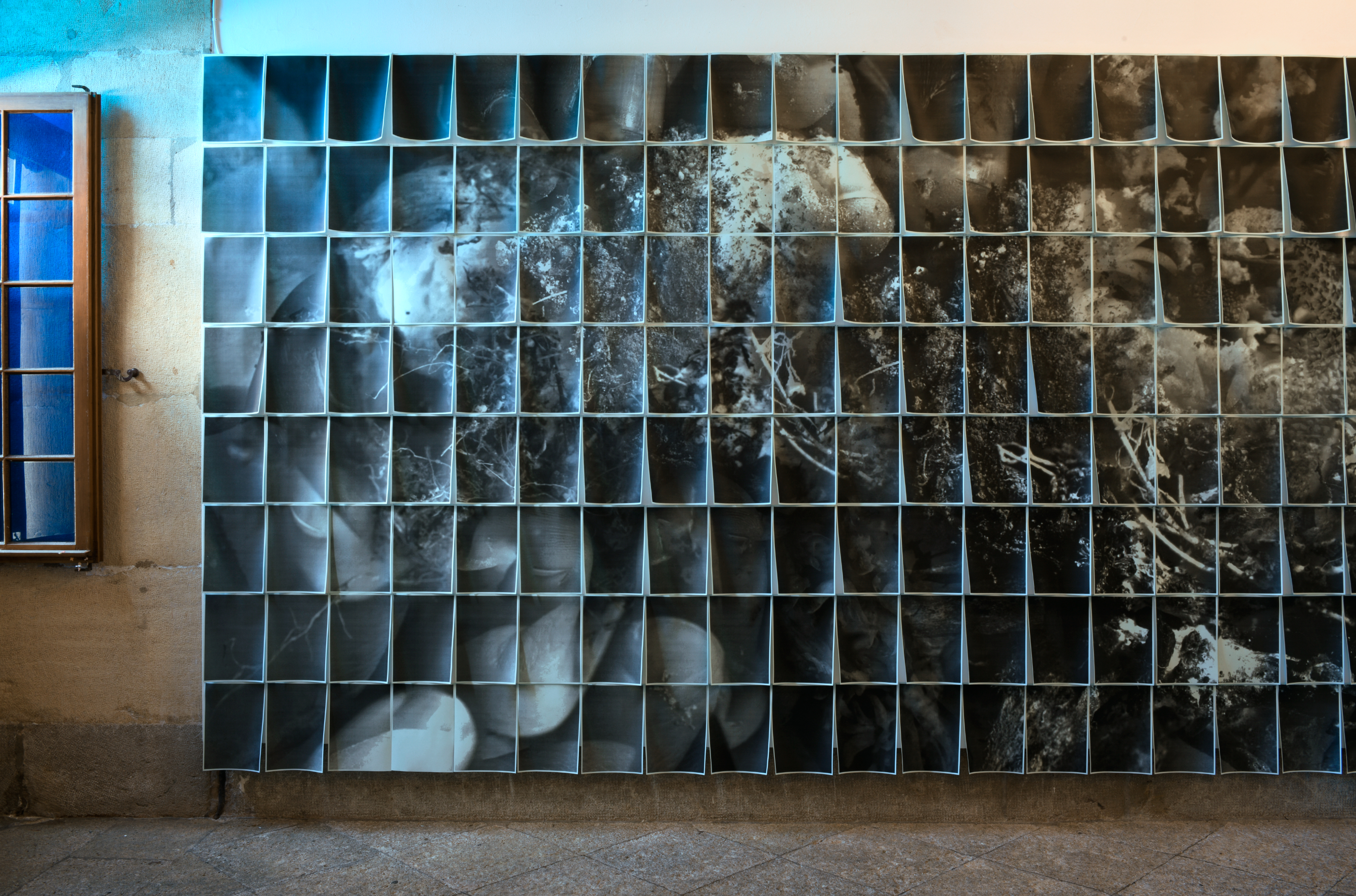mouvements_des_spores